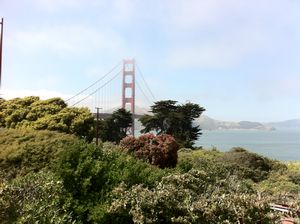 Golden Gate Bridge creeping behind some bushes