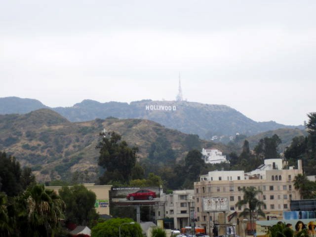 The Hollywood Hills