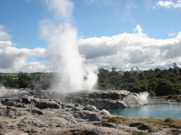 "Pohutu"and "The Prince of Wales Feathers"geysers