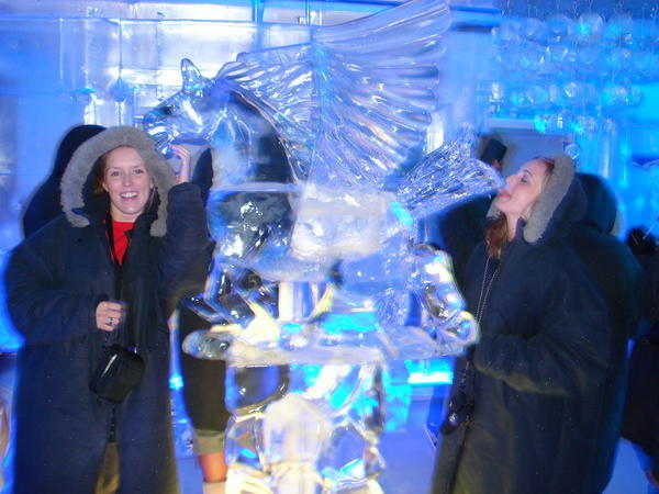 Minus 5- The ice bar in Auckland