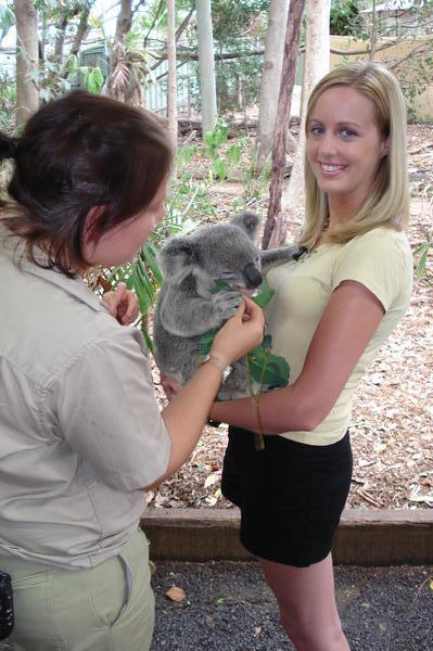Eucalyptus time!