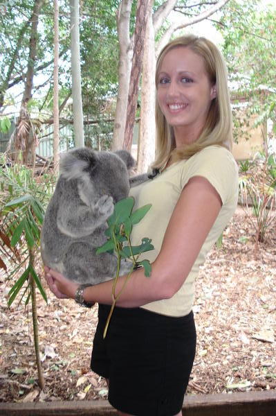 Nap time with "Bagel" the Koala