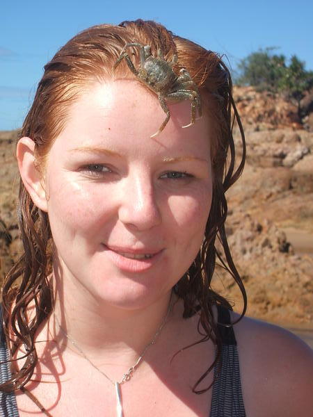 Crickey what's that on lindsay's head? ITS A CRAB!