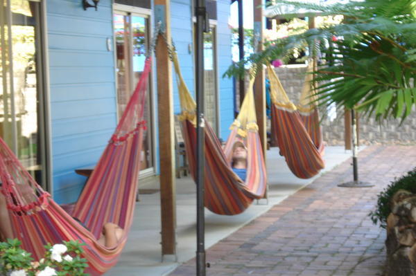These are the Bananna Hammocks outside our room
