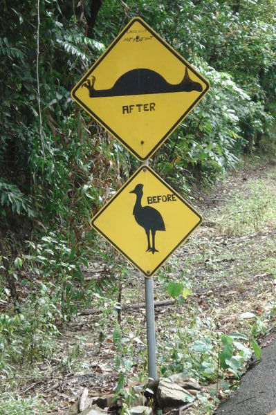 A sample of some of the unusual roadsigns we passed on our trek to Cape Tribulation