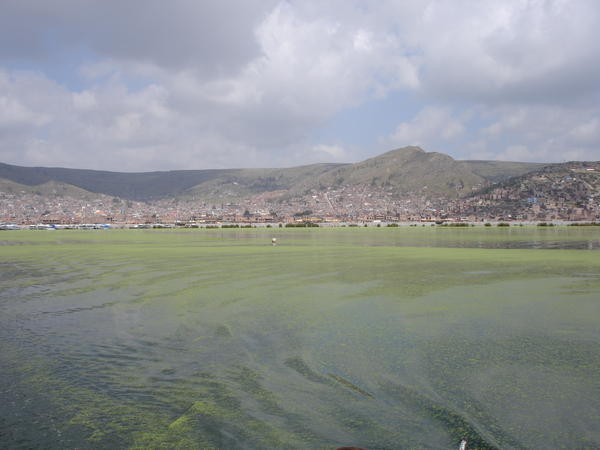 Puno from Lago Titikaka
