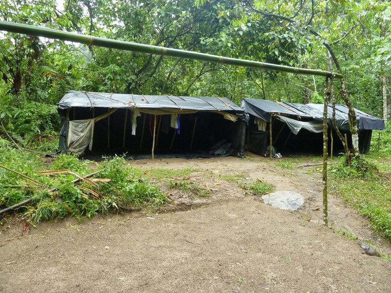 Our Jungle Camp