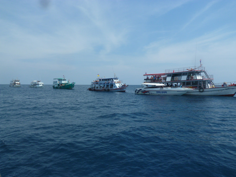 All the dive boats lined up