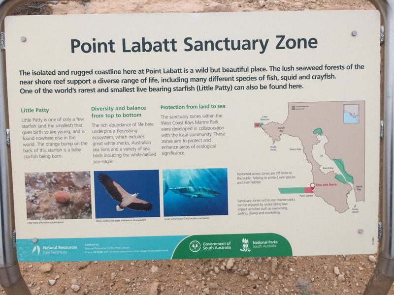 Labatt Sea Lion Colony
