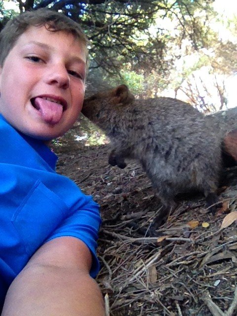 The quokka selfie competition