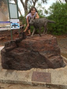 The Pilbara's Red Dog
