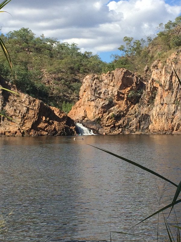 A great distance to swim - Edith Falls