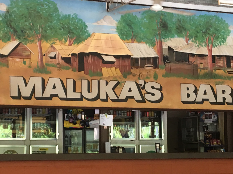 Mataranka Springs Bar