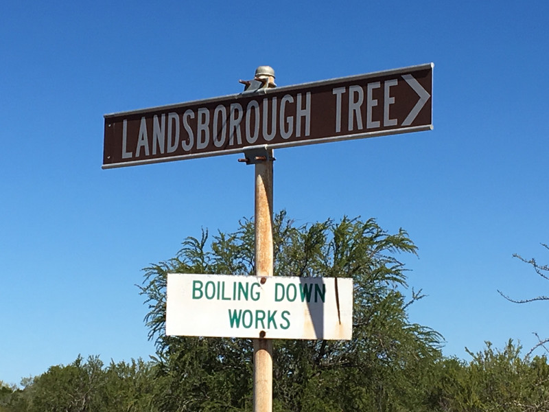 Landsborough Tree, Burke Town.