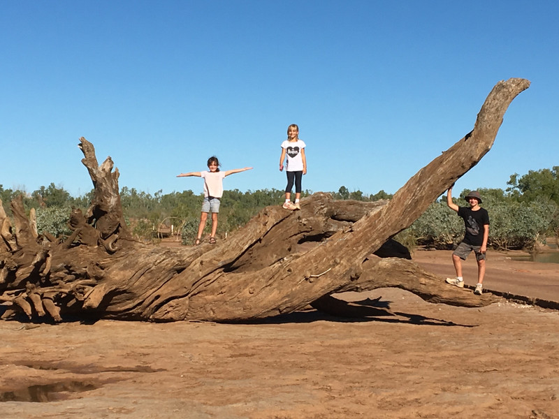 Hanging out in the Dry Leichardt River Bed.