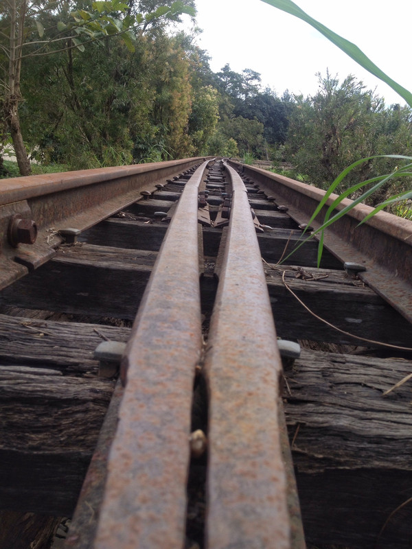Sugar Cane Rail in the Atherton Tableland