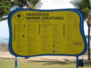 Dangers of Airlie Beach
