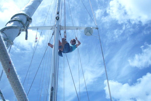 up the mast (great view)
