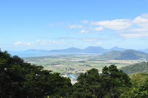 View south over Cairns from Skyrail Cablecar
