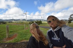Windy Hill Wind Farm was, ummm, windy