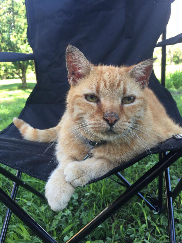 Oscar loved having his own camp chair