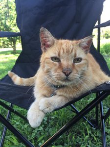 Oscar loved having his own camp chair