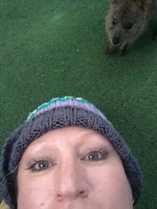 Tabs pathetic attempt at a quokka selfie
