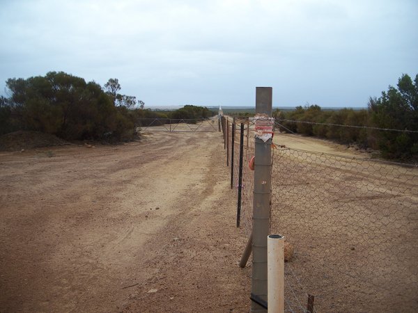 Rabbit proof fence 