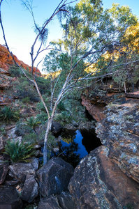 Garden of Eden Kings Canyon