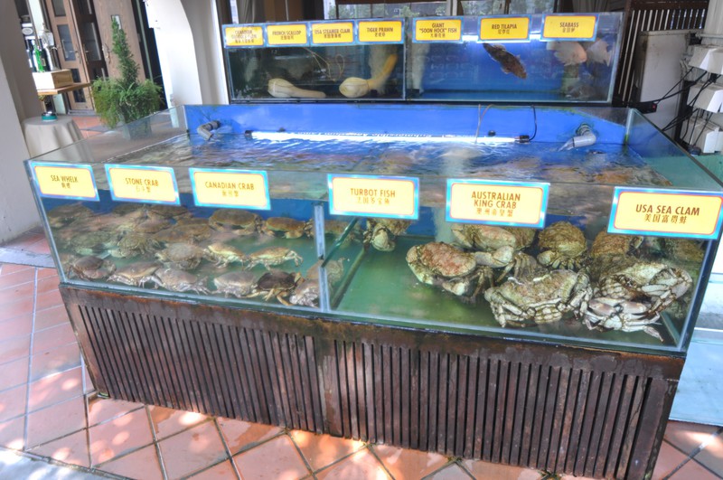 Pick your crab, we kill it, we cook it - Singapore