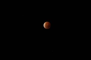 Red Moon Perricoota Station 2014