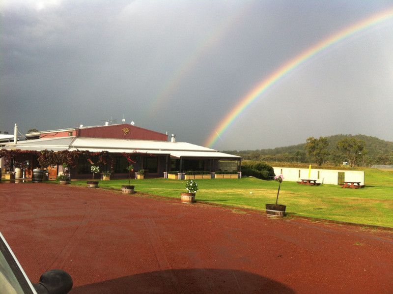 Rainbow @ Jester Hill (winery where Tab works)