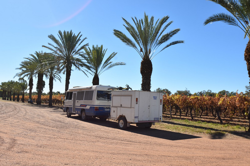 A winery with palm trees...only in QLD - Riversands Winery St George