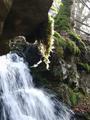 waterfall, Birks of Aberfeldy