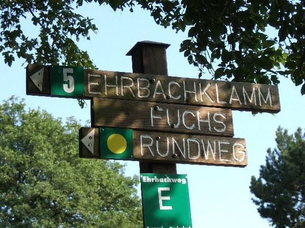 The way to Ehrbachtal
