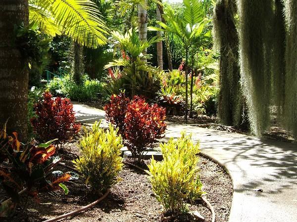 Botanical Gardens,Nevis