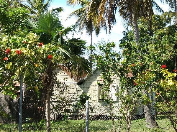 Fig Tree village,  Nevis