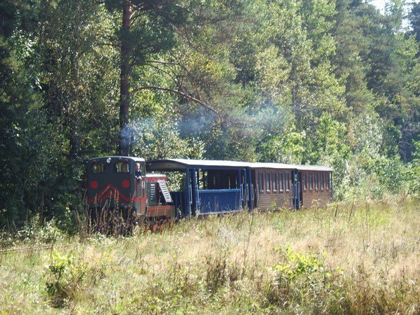 Forest Railway