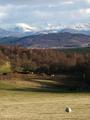 Cairngorm view