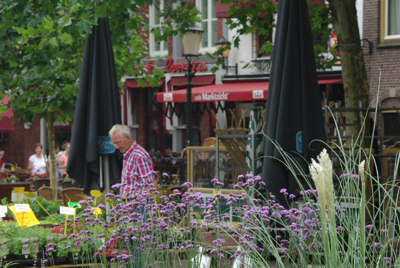 Flower Market, Amersfoort