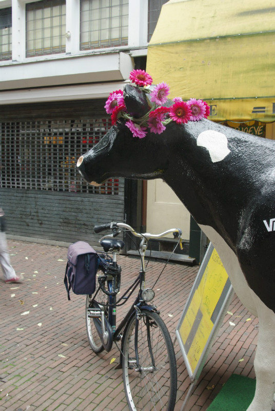 A cow, some flowers and a bike