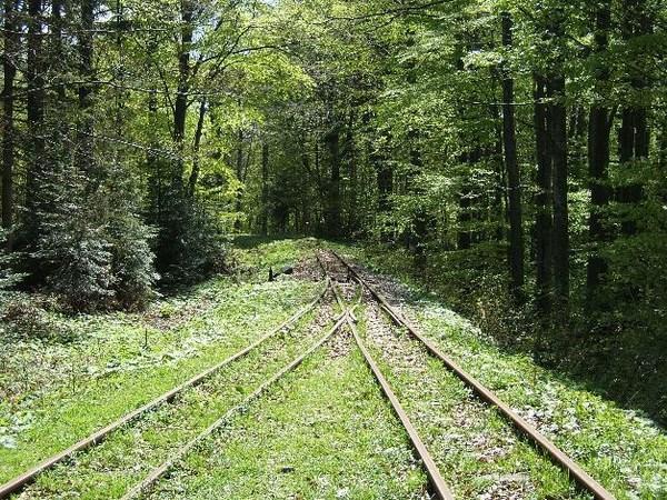 The Bieszczady Forest Railway, Balnica