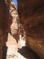 Wandering in Petra