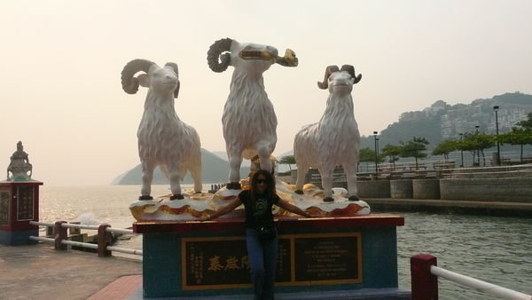 Now ramadan being soon over, which sheep should I choose for holy sacrifice?