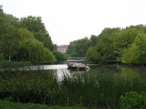 King's Park - Bucking Palace Background
