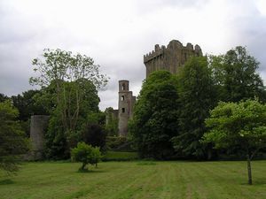 Blarney Castle 2