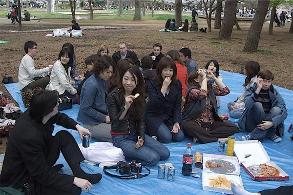 Our group at the TokyoGaijins ohanami meet