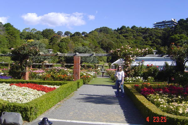 Botanic Garden 1