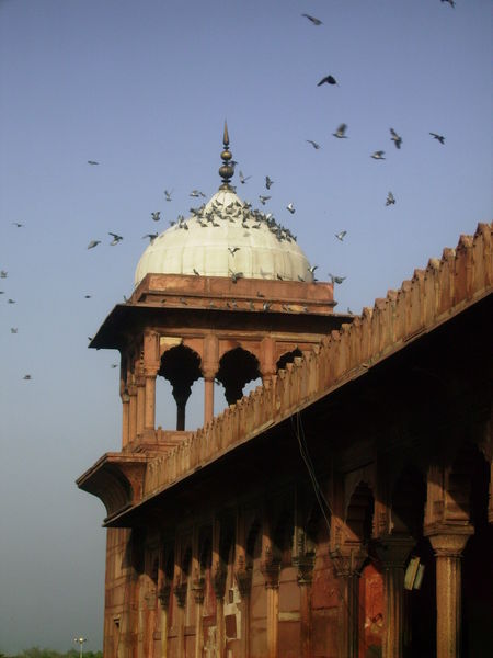 The Red Fort Mosque, Delhi.