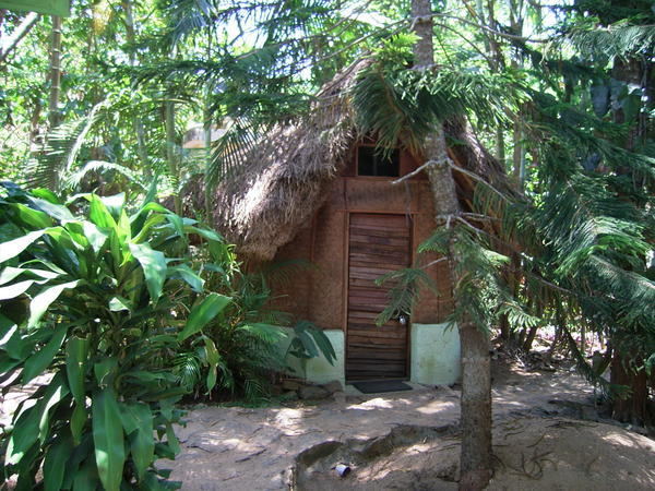 My Hut